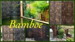Tuinartikelen, Bamboe, Rotan